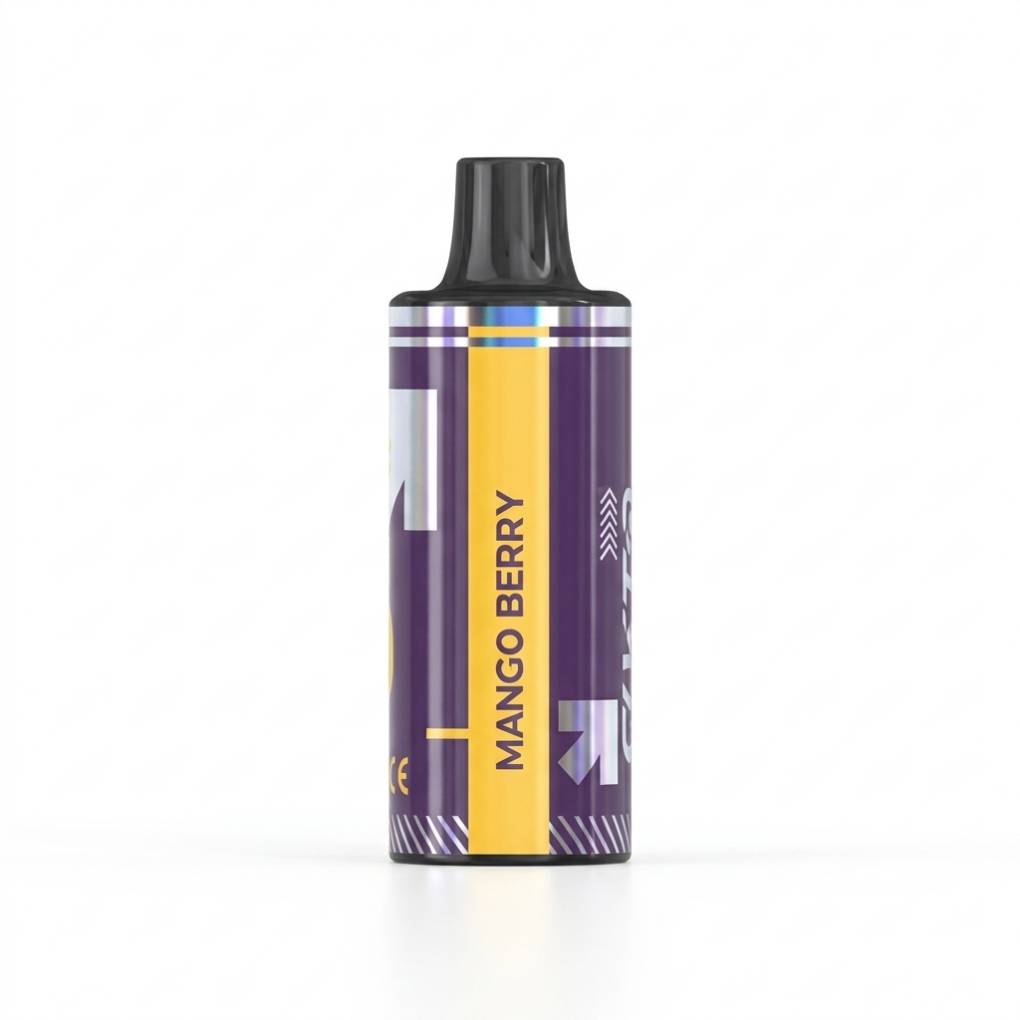 Flyto Switch 6000 Puffs Prefilled Cartridge – Mango Berry